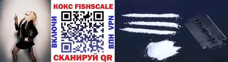 купить закладку  блэк спрут   Cocaine 97%  Вологда 