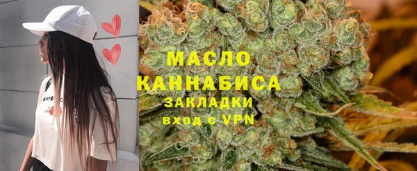 прущий лед Гусев