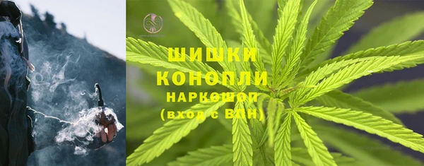 прущий лед Гусев