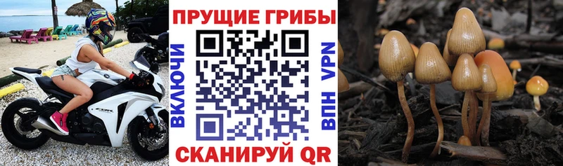 Псилоцибиновые грибы ЛСД  Вологда 