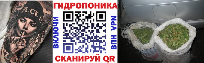 Бошки марихуана Ganja  наркотики  Вологда 